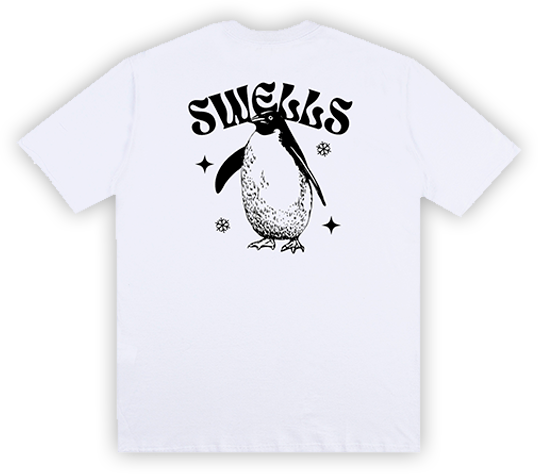 Camisa Oversized Pinguim